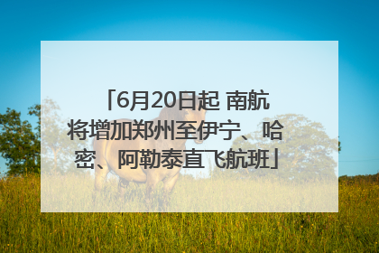 6月20日起 南航将增加郑州至伊宁、哈密、阿勒泰直飞航班