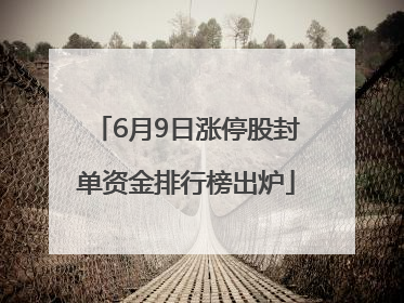 6月9日涨停股封单资金排行榜出炉