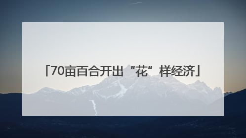 70亩百合开出“花”样经济