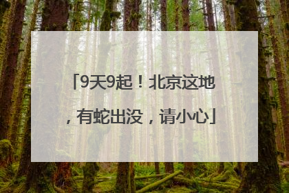 9天9起！北京这地，有蛇出没，请小心